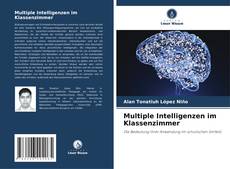 Capa do livro de Multiple Intelligenzen im Klassenzimmer 