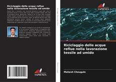 Riciclaggio delle acque reflue nella lavorazione tessile ad umido的封面