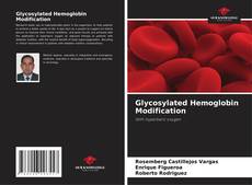 Glycosylated Hemoglobin Modification kitap kapağı