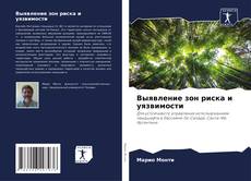 Capa do livro de Выявление зон риска и уязвимости 