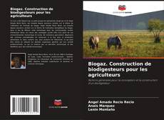 Buchcover von Biogaz. Construction de biodigesteurs pour les agriculteurs