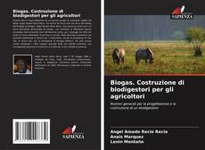 Buchcover von Biogas. Costruzione di biodigestori per gli agricoltori
