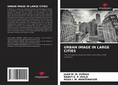 Couverture de URBAN IMAGE IN LARGE CITIES