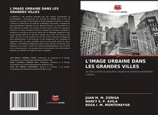 L'IMAGE URBAINE DANS LES GRANDES VILLES的封面