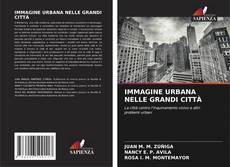 Capa do livro de IMMAGINE URBANA NELLE GRANDI CITTÀ 