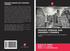 Capa do livro de IMAGEM URBANA NAS GRANDES CIDADES 