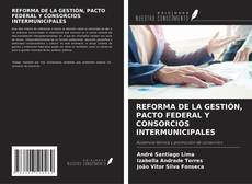 Copertina di REFORMA DE LA GESTIÓN, PACTO FEDERAL Y CONSORCIOS INTERMUNICIPALES