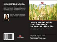 Semences de riz créole cultivées dans un agrosystème - Maranhão的封面