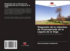 Capa do livro de Diagnostic de la réduction de l'hydropériode de la Laguna de la Vega 