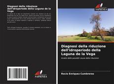 Buchcover von Diagnosi della riduzione dell'idroperiodo della Laguna de la Vega