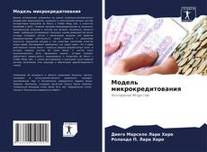 Bookcover of Модель микрокредитования