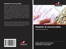 Buchcover von Modello di microcredito