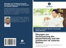 Copertina di Übungen zur Verbesserung der Körperhaltung und bei Schmerzen im unteren Rücken