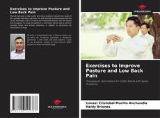 Exercises to Improve Posture and Low Back Pain kitap kapağı