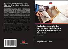 Inclusion sociale des personnes libérées du système pénitentiaire brésilien kitap kapağı