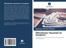 Copertina di Öffentlicher Haushalt im Vergleich