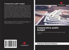Borítókép a  Comparative public budget - hoz