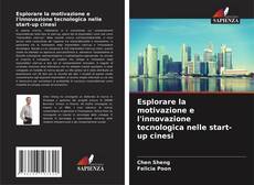 Copertina di Esplorare la motivazione e l'innovazione tecnologica nelle start-up cinesi
