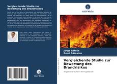 Vergleichende Studie zur Bewertung des Brandrisikos kitap kapağı