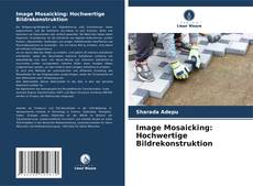 Image Mosaicking: Hochwertige Bildrekonstruktion kitap kapağı