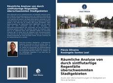 Portada del libro de Räumliche Analyse von durch sintflutartige Regenfälle überschwemmten Stadtgebieten