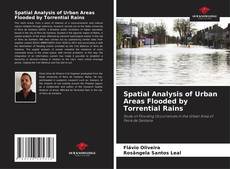Buchcover von Spatial Analysis of Urban Areas Flooded by Torrential Rains