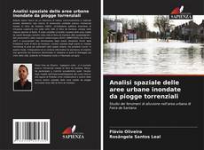Capa do livro de Analisi spaziale delle aree urbane inondate da piogge torrenziali 