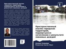 Portada del libro de Пространственный анализ городских территорий, подвергшихся затоплению в результате ливневых дождей