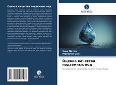 Bookcover of Оценка качества подземных вод