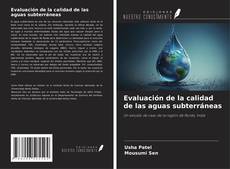 Buchcover von Evaluación de la calidad de las aguas subterráneas