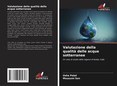 Capa do livro de Valutazione della qualità delle acque sotterranee 