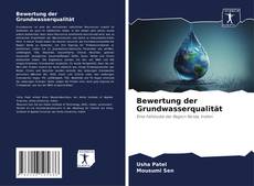 Bewertung der Grundwasserqualität的封面