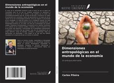 Dimensiones antropológicas en el mundo de la economía kitap kapağı