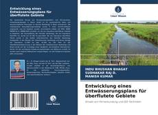 Portada del libro de Entwicklung eines Entwässerungsplans für überflutete Gebiete