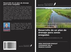 Borítókép a  Desarrollo de un plan de drenaje para zonas anegadas - hoz
