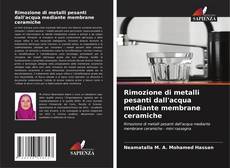 Rimozione di metalli pesanti dall'acqua mediante membrane ceramiche的封面