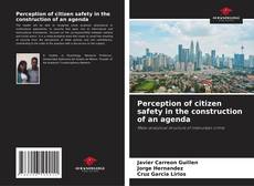 Portada del libro de Perception of citizen safety in the construction of an agenda