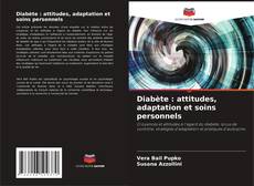 Diabète : attitudes, adaptation et soins personnels的封面