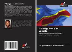 Bookcover of Il Congo non è in vendita