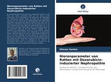 Nierenparameter von Ratten mit Doxorubicin-induzierter Nephropathie的封面