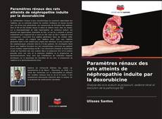 Copertina di Paramètres rénaux des rats atteints de néphropathie induite par la doxorubicine