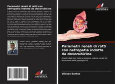 Capa do livro de Parametri renali di ratti con nefropatia indotta da doxorubicina 