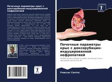 Portada del libro de Почечные параметры крыс с доксорубицин-индуцированной нефропатией