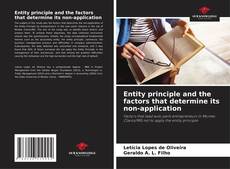 Buchcover von Entity principle and the factors that determine its non-application