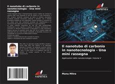 Portada del libro de Il nanotubo di carbonio in nanotecnologia - Una mini rassegna