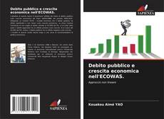 Debito pubblico e crescita economica nell'ECOWAS. kitap kapağı