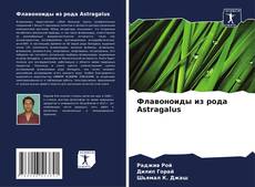 Capa do livro de Флавоноиды из рода Astragalus 
