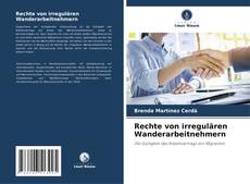 Capa do livro de Rechte von irregulären Wanderarbeitnehmern 
