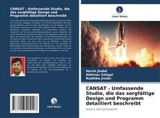 CANSAT - Umfassende Studie, die das sorgfältige Design und Programm detailliert beschreibt kitap kapağı