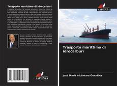 Trasporto marittimo di idrocarburi的封面